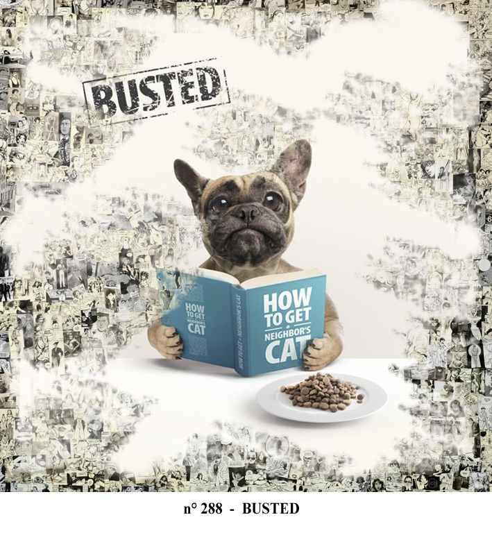 288 - BUSTED.jpg